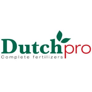Dutch Pro