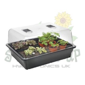 Propagators