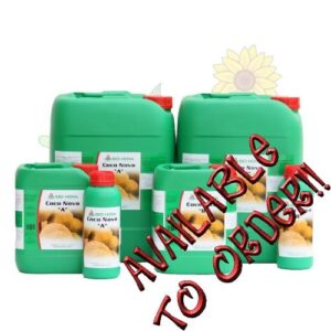 Coco Forte A+B Concentrate