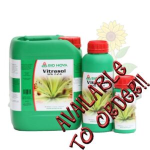 BN Vitasol