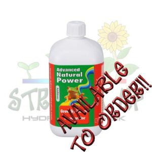 AoH Bloom Excellarator