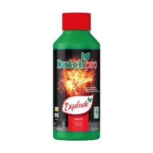250ml bottle of Dutch Pro Explode