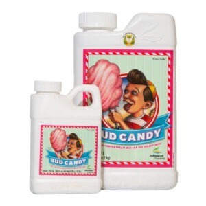 Bud Candy
