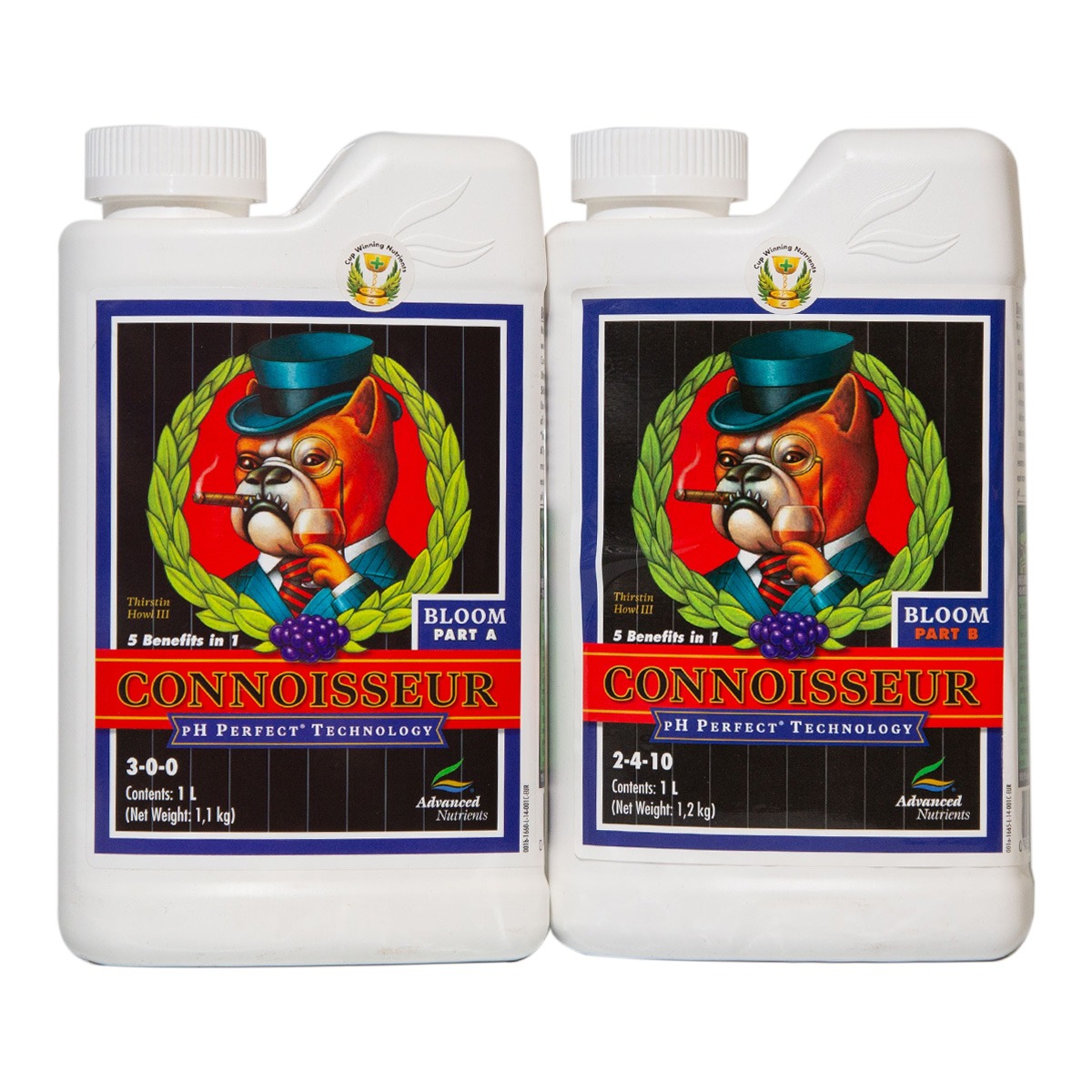 Connoisseur Bloom A & B