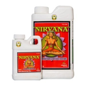 Nirvana / Tasty Terpenes