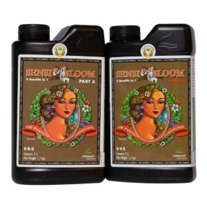 Sensi Coco Bloom A & B