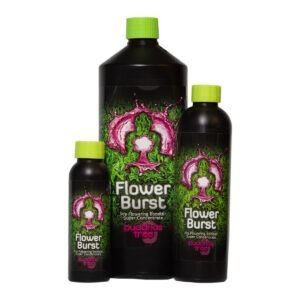 Flower Burst