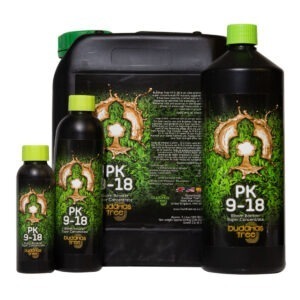 Buddhas Tree PK 9/18