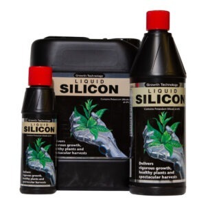 Liquid Silicon