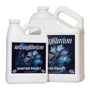 Winter Frost