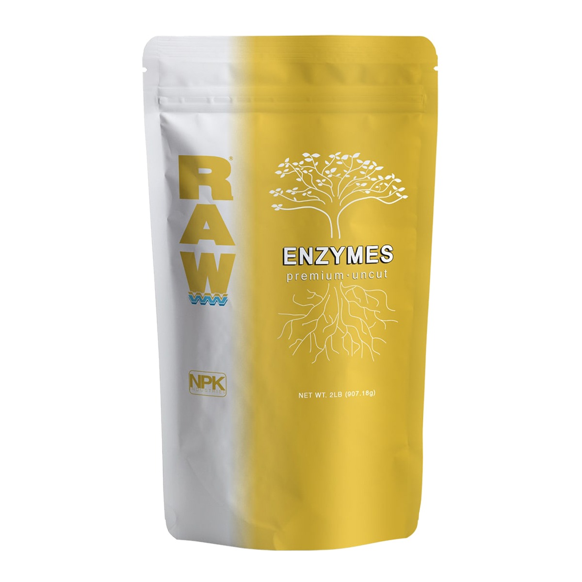 RAW Enzymes