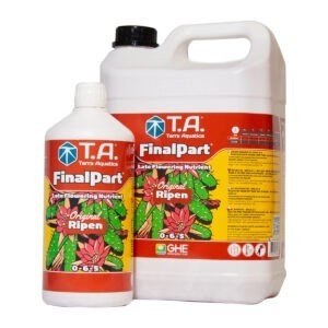 T.A FinalPart