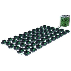 Alien 60 Pot EasyFeed 10L System