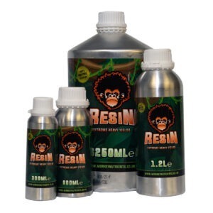 Monkey Resin