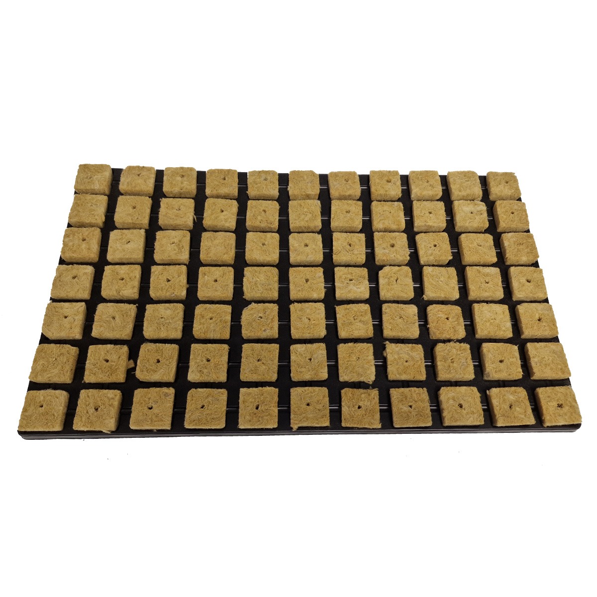 Cultiwool Rockwool Starter Cubes
