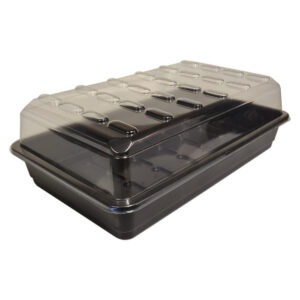 Medium Budget Propagator