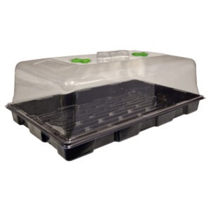 Root It Budget Propagator